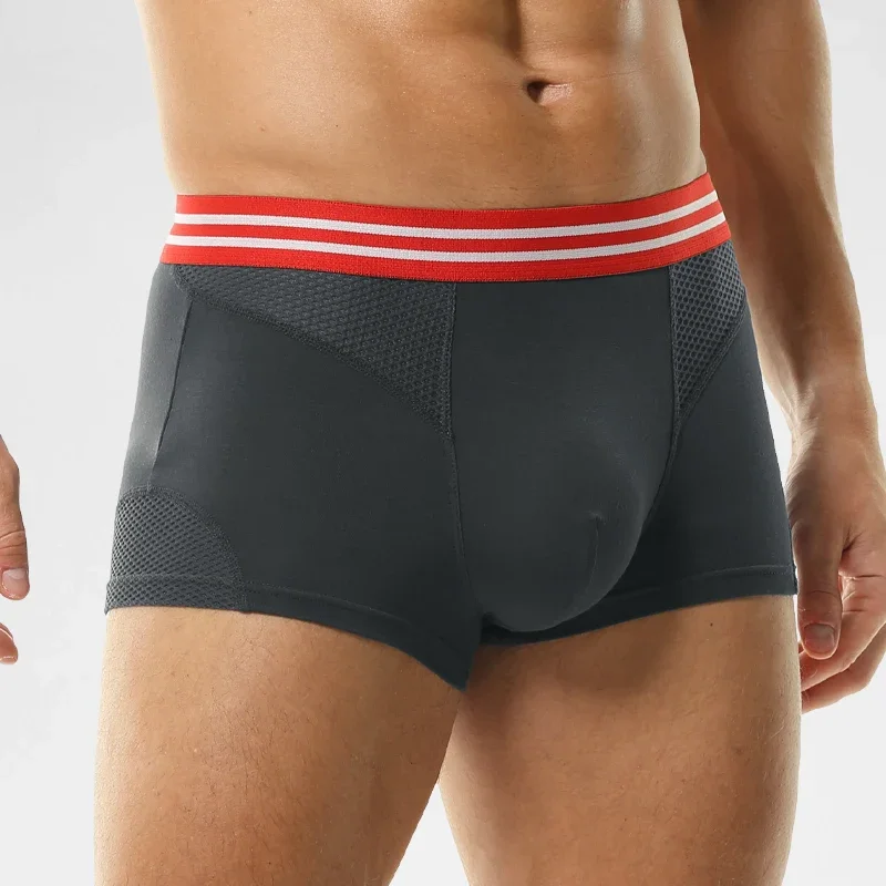 Underwear Men's boxers Modal m – обзор и цена Mesh Sport Boxer