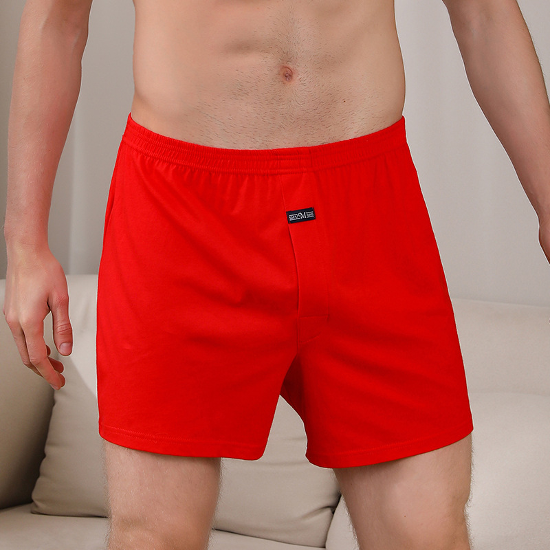 1PCS Men's Underwear Aro Pants – обзор и цена Boxer Brief Pack Cotton