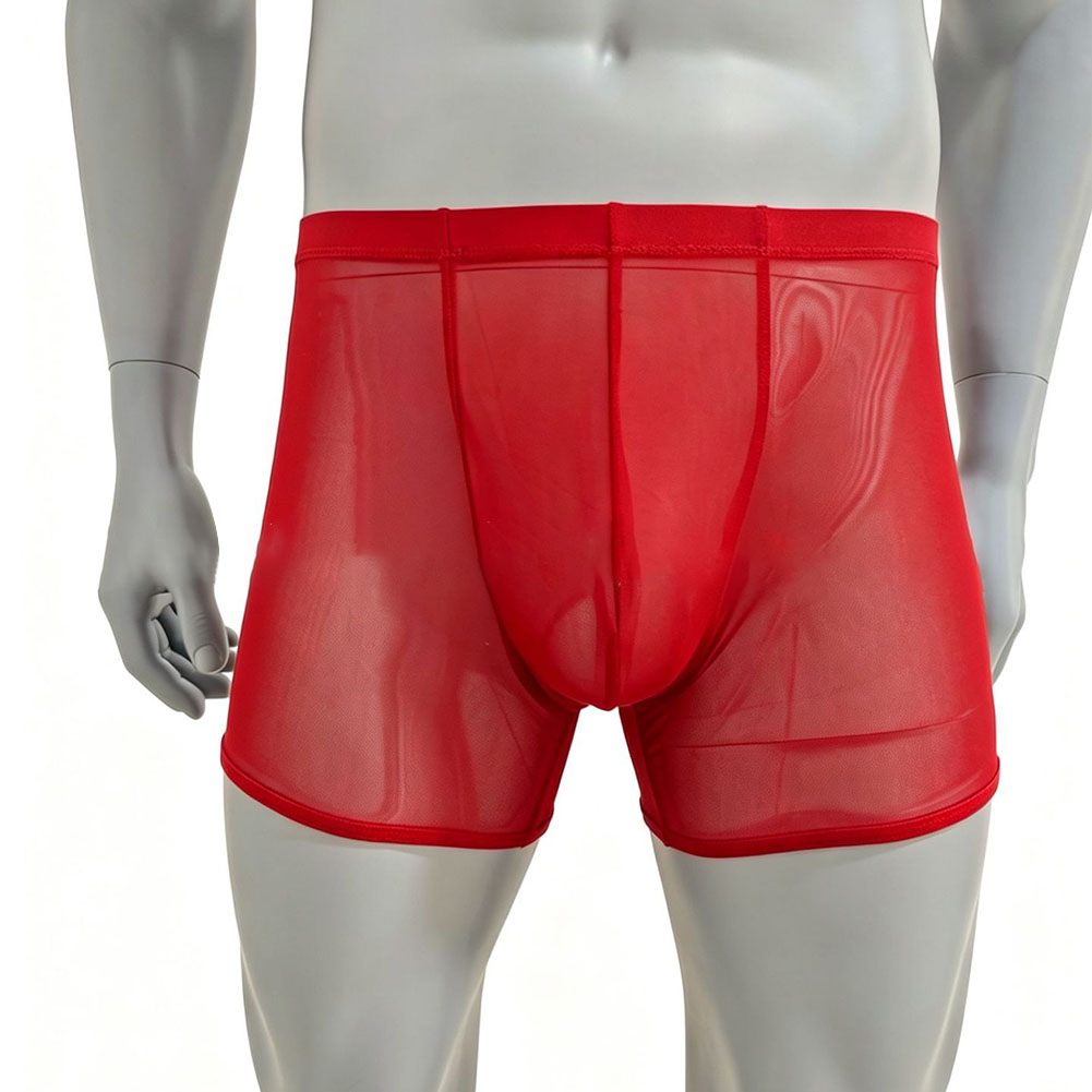 Men Mesh See-through Ultra-thi – обзор и цена Long Leg Trunk Men